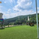 홍시식당 이미지