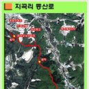 지곡리 등산로 이미지