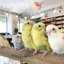 지에스(GS)25 김포구래 이미지