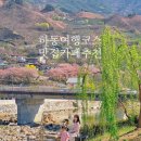 별천지 참 재첩 | 하동여행코스 멋진뷰 하동 카페 도심다원, 카페 브릿지130, 하동 맛집리스트