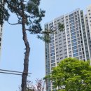 부동산씨티공인중개사사무소 이미지