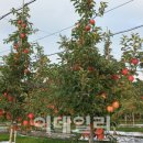 윤종성농장 이미지