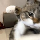 NR-3[경상대로]-하-395 | 7월 24일, 8월 10일 구미여중 토익 후기, 결과, 팁 (스피커, 의자, 책상 등) *내 최고의 시험장은?