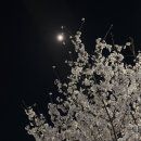 주주클럽 | 밀린 근황 일기 | 3월 일기 | 데이식스 대전 콘서트 | 폭싹속았수다 | 변우석 | 선재업고튀어1주년...