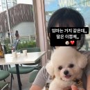 내개로와 이미지