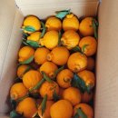 월석농장 이미지