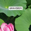 성호목장 이미지