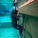 부산광역시 수영구 치매안심센터 | 부산 북항 마리나 다이빙풀 프리다이빙 체험 후기 | 수영 8개월 차 도전