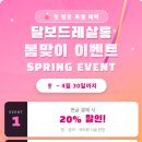 달보드레헤어