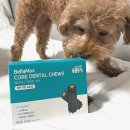 맥스농장 | 벨라맥스 강아지 구강 유산균 덴탈껌 후기｜SBS 동물농장 수의사가 소개한 벨라맥스