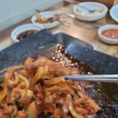 해적선생오리 이미지