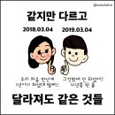 소소호호 이미지