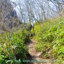 장구봉등산로 이미지