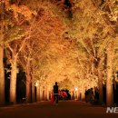 (주)은행나무 이미지