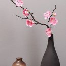 세뇨르킴 이미지