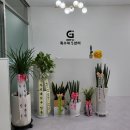 온더그로우 이미지