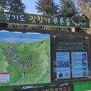 푸른숲 이미지