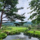 그늘막52 | 경기 여주 루트52CC 한여름 골프라운드 그리고 더스타휴cc
