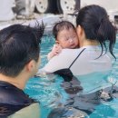 포항시남구38 | 포항 100일 아기랑 TITF카라반 수영장, A1구역 차이 및 후기
