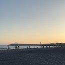 로사목장 이미지