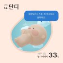 라포유