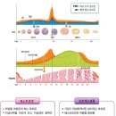 북가좌동헬스 이미지