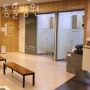 타잔동물병원 | 평택시 비전동 동물병원 타잔동물병원 위치 오는길 후기