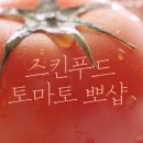 토마토광고 이미지