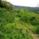 대평 목장 이미지