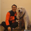동물약국 이미지