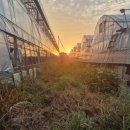 새김천농협개령지점 이미지