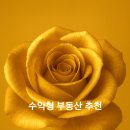 옥정마트약국 티스토리