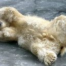 딜부동산중개 이미지