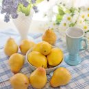 농원농장 이미지