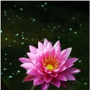 은파관광지 이미지