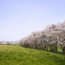 제일목장 이미지