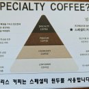 도리스커피 이미지
