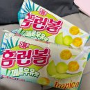 내가좋아하는 이미지