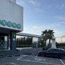 제원농장 | 겨울제주도여행코스 크리스마스제주도여행기 금오름 감귤농장체험내돈내산후기