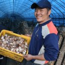 도은농장 이미지