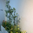 해와달치과의원 이미지