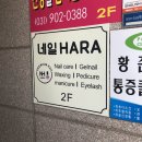 네일하라 이미지