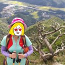 구병산 (Again-100th) - 27번째 어게인100명산 산행기