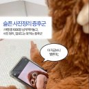 동신슈퍼 | 나 집에 안 갈래 . . .