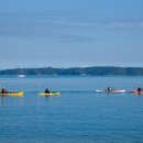 체육문화센터진입로1 이미지