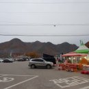 주산지공용버스터미널 이미지