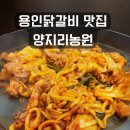 용인 닭갈비 맛집 양지리농원, 숯불 vs 철판 vs 국물