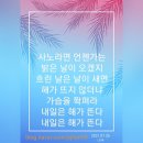 사노라면언젠가는 이미지