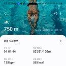 (주)놀쌤