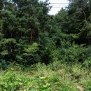 일영낚시터 이미지